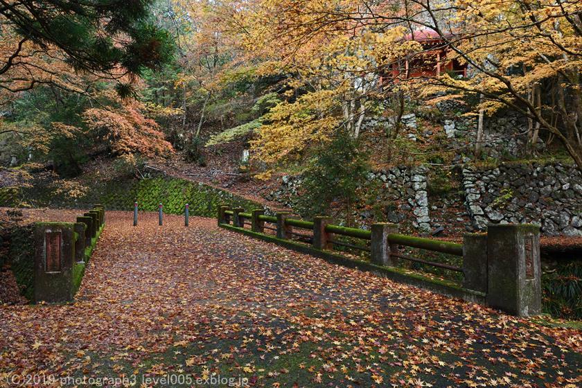 蓬莱山神社 紅葉 2 Photograph3