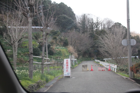 b0132338_09412079.jpeg