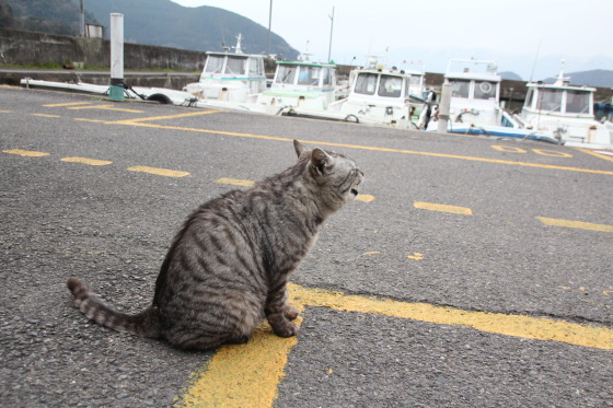 b0132338_09551062.jpeg