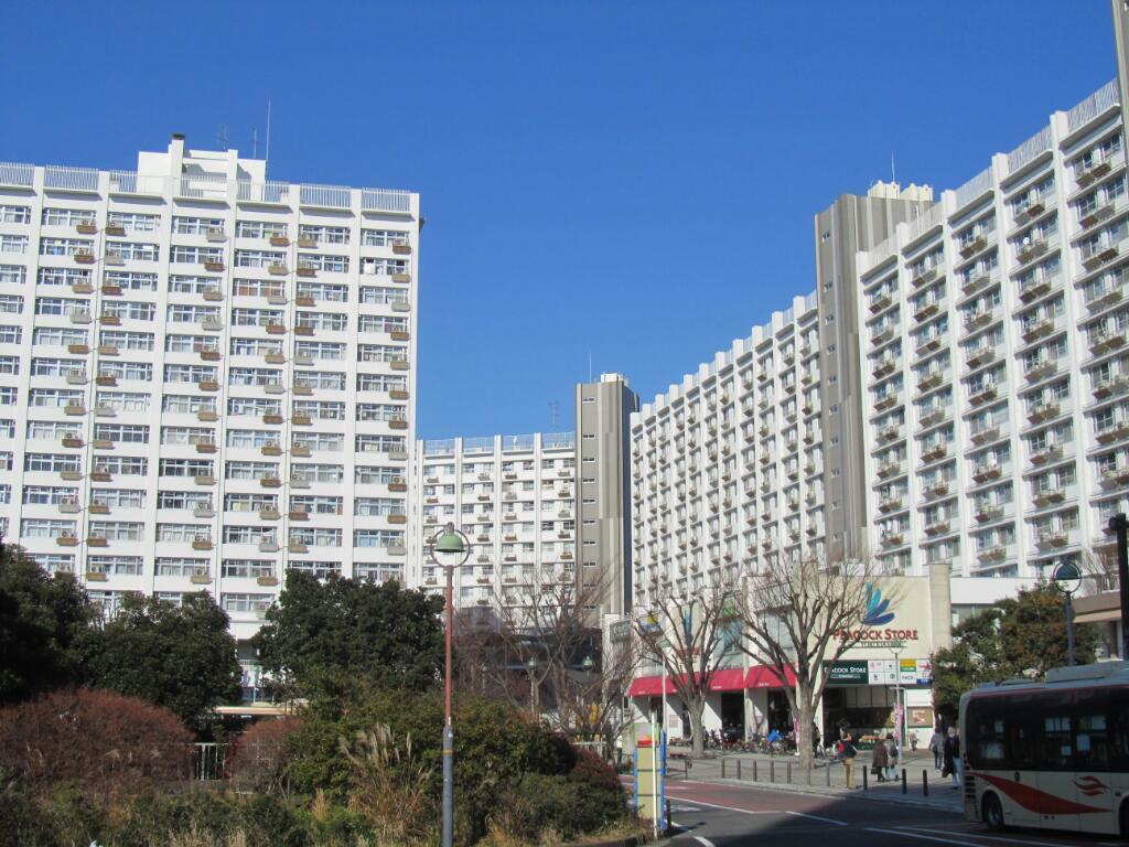 画像情報
