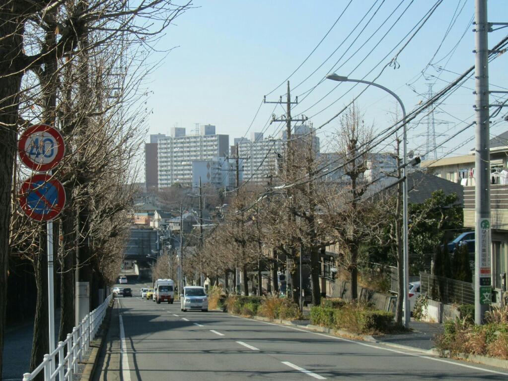 画像情報
