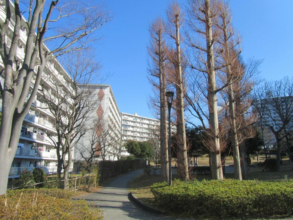 画像情報