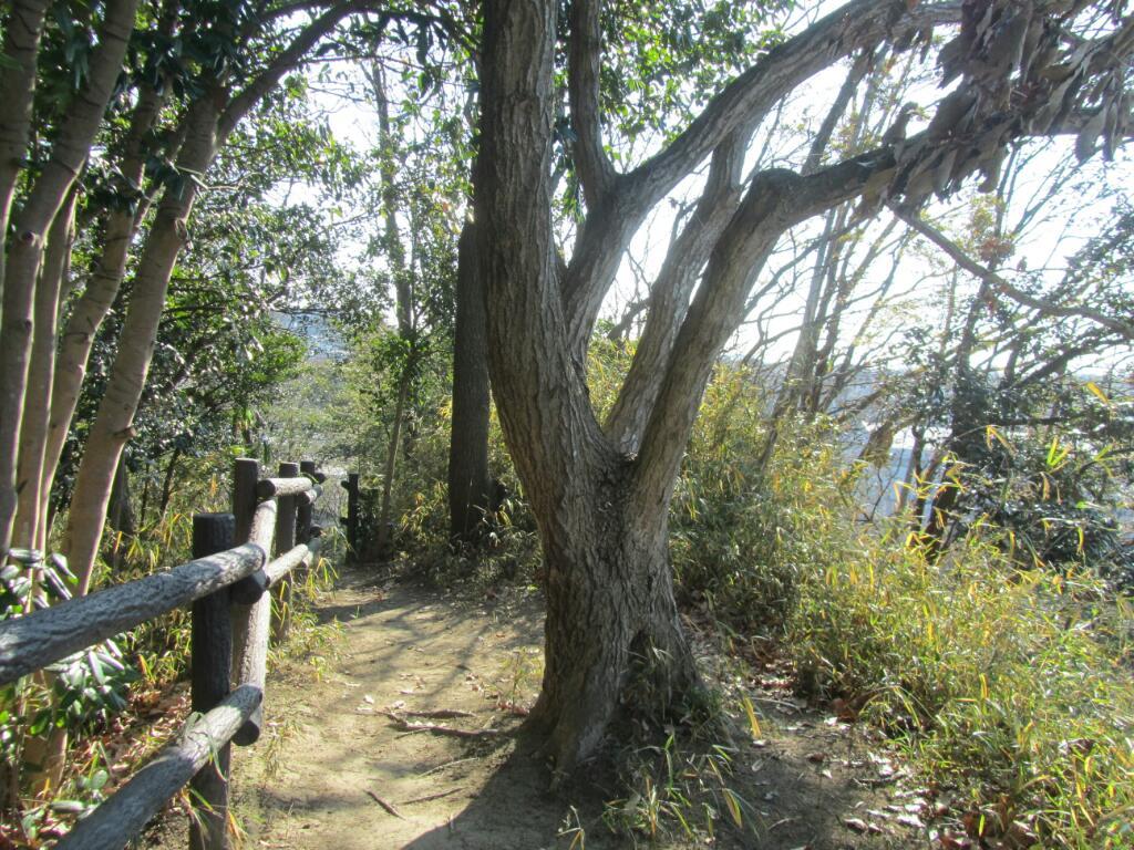画像情報