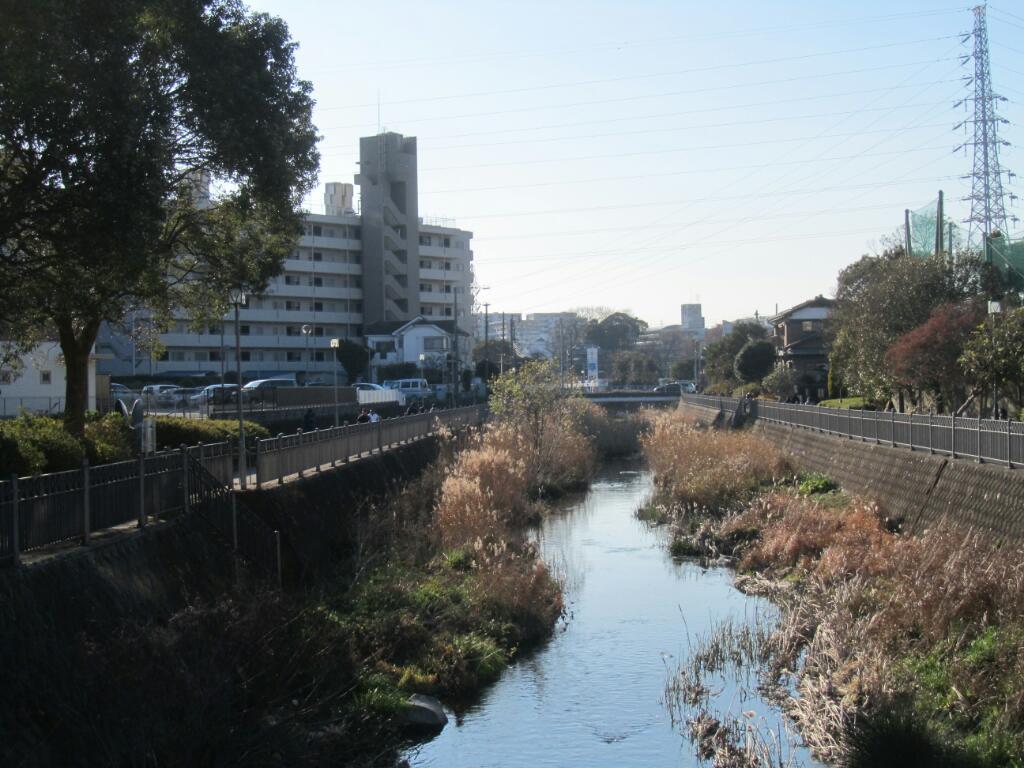 画像情報