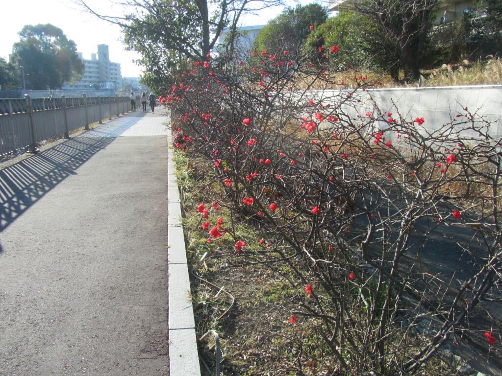 画像情報