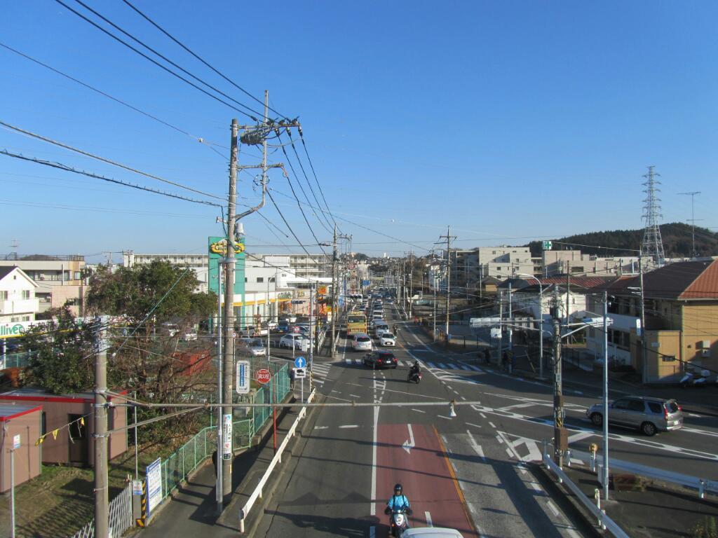 画像情報