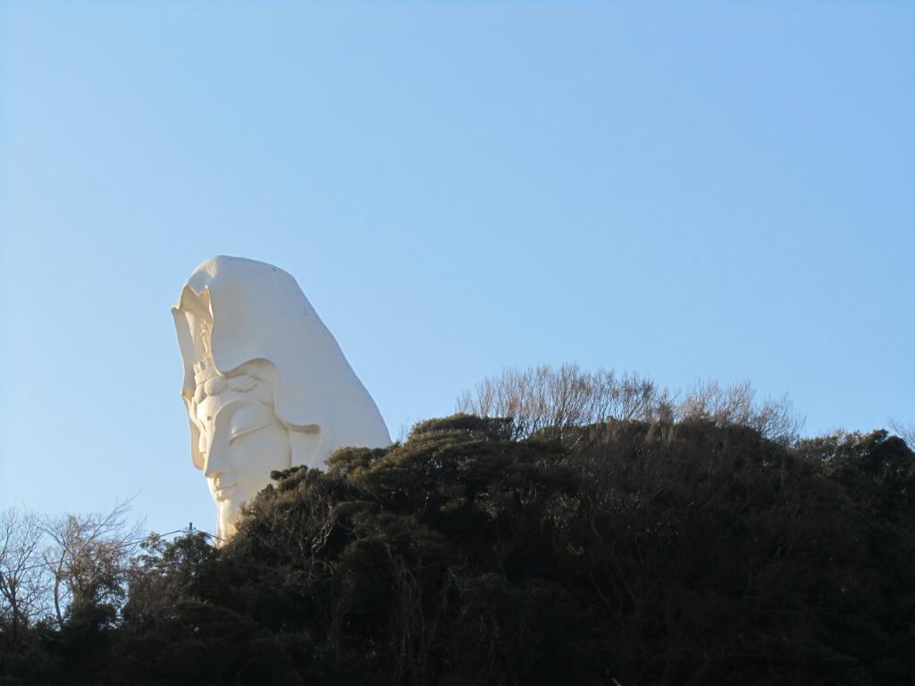 画像情報