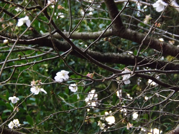 f0333346_10510394.jpg