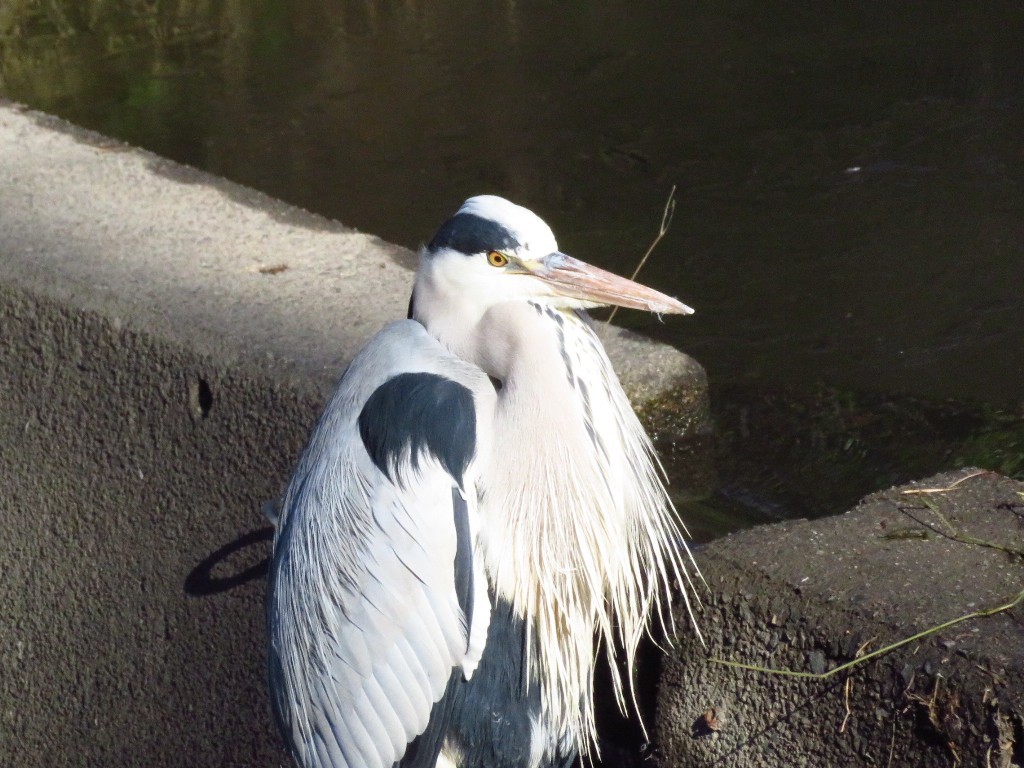 a0018655_09392024.jpg