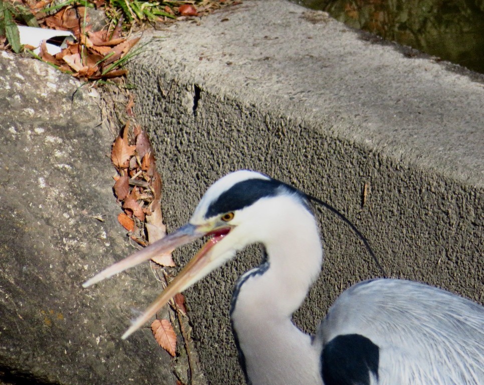 a0018655_09392140.jpg