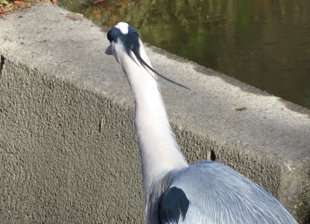 a0018655_09392148.jpg