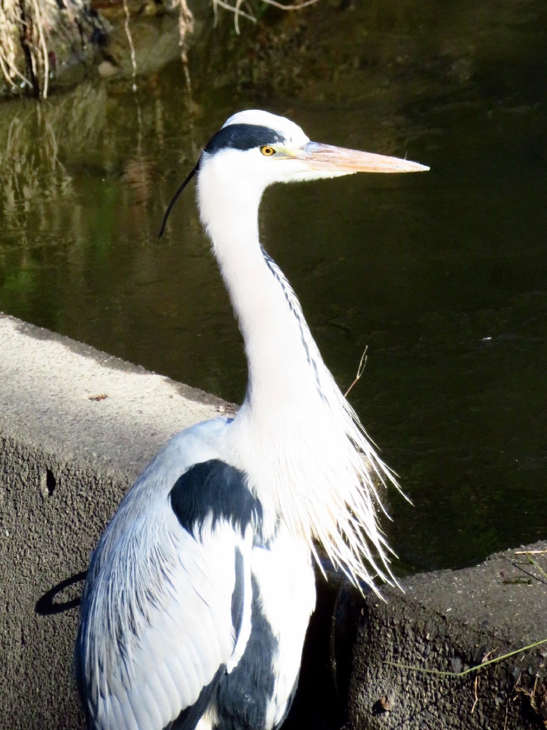 a0018655_09392194.jpg