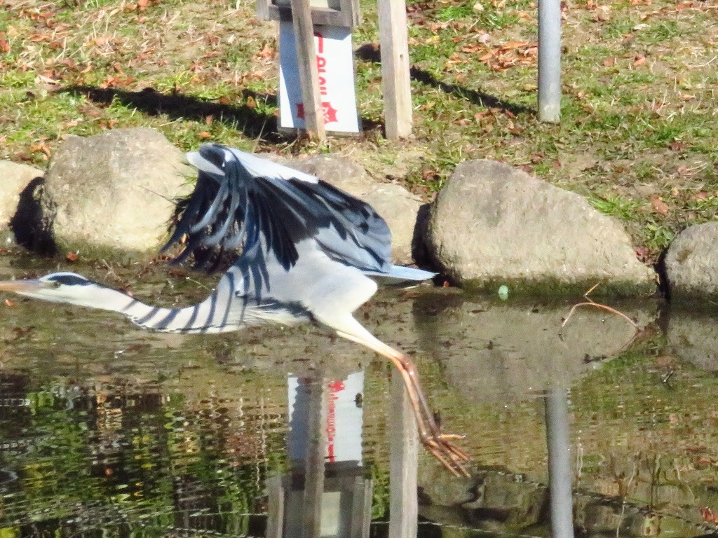 a0018655_09505476.jpg