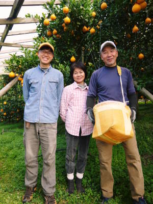 ザ・みかん　晩生（おくて）みかん「金峰」｢青島｣大好評発売中！ただし２Ｌサイズは大好評に付早くも完売！_a0254656_12163089.jpg