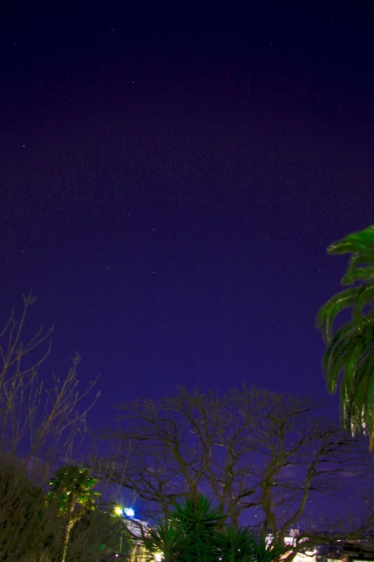 a0248459_19004600.jpg