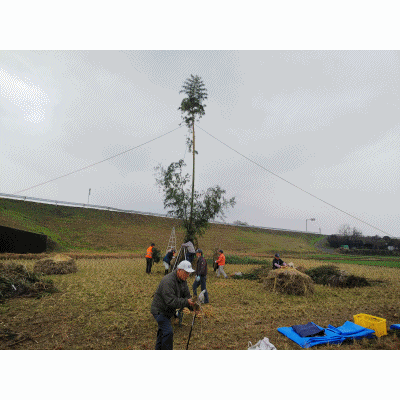 e0145364_105444.gif