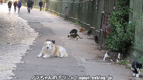 f0037264_02184793.jpg