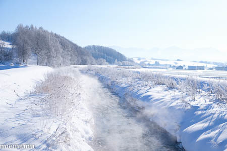 d0340565_19383206.jpg