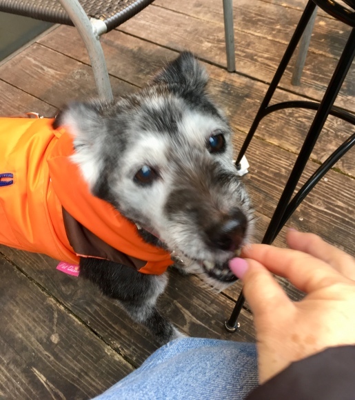 f0389169_20373908.jpeg