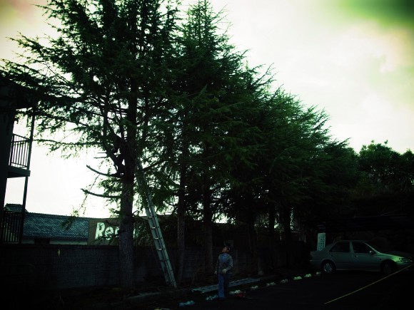 f0014970_15251401.jpg