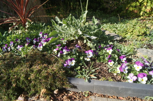 e0181373_20153068.jpg