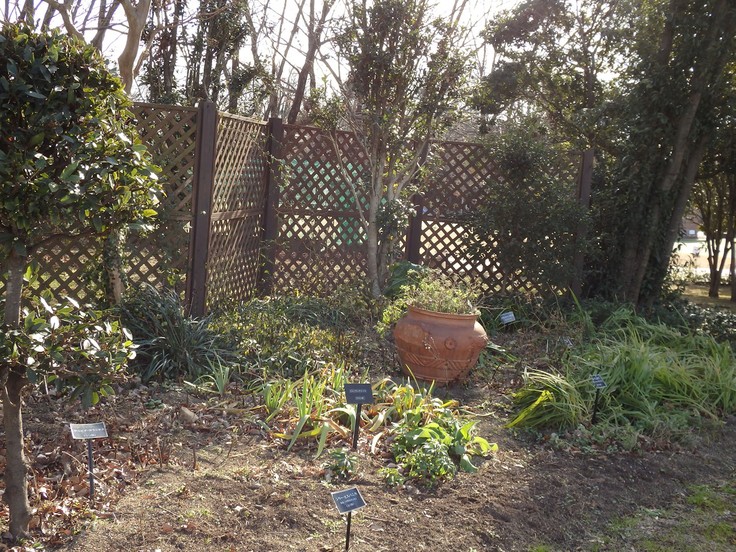 d0054276_2035134.jpg