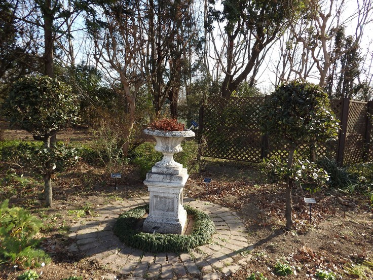 d0054276_203515.jpg