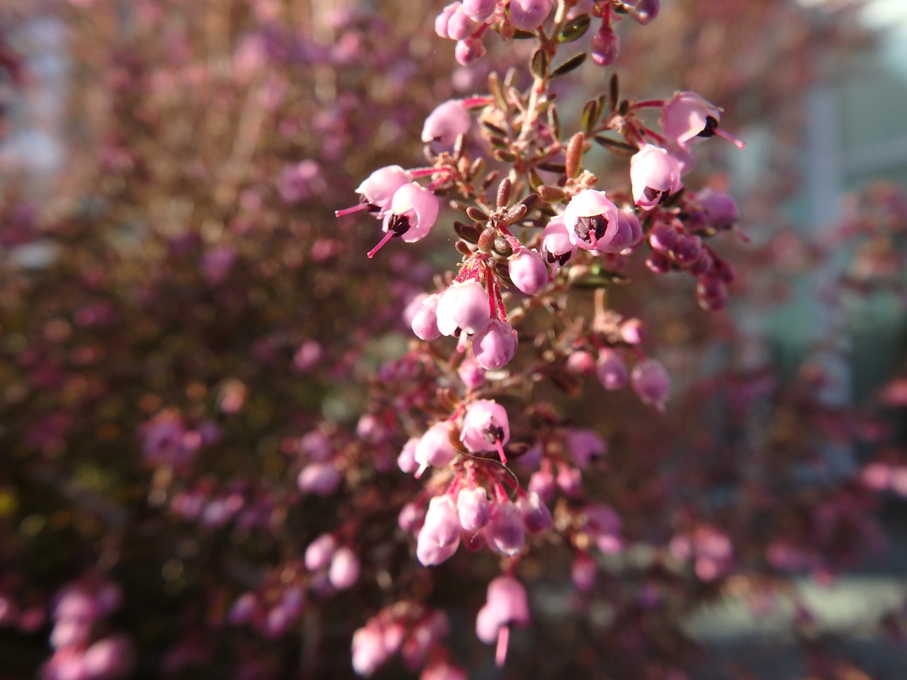 d0054276_20395588.jpg