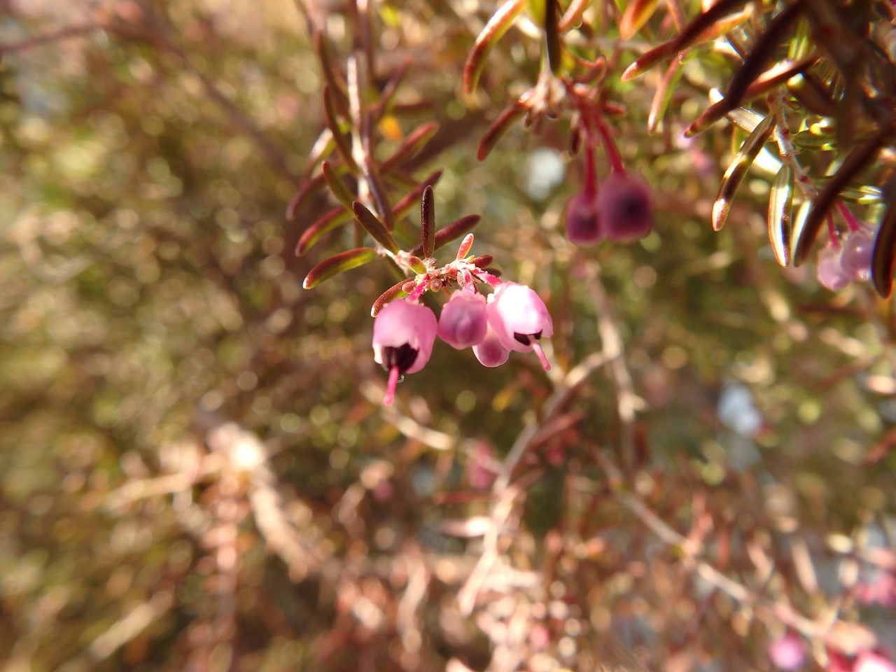 d0054276_2040428.jpg