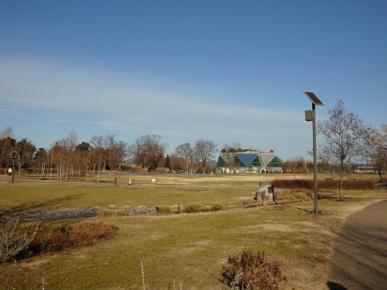 d0054276_20414487.jpg
