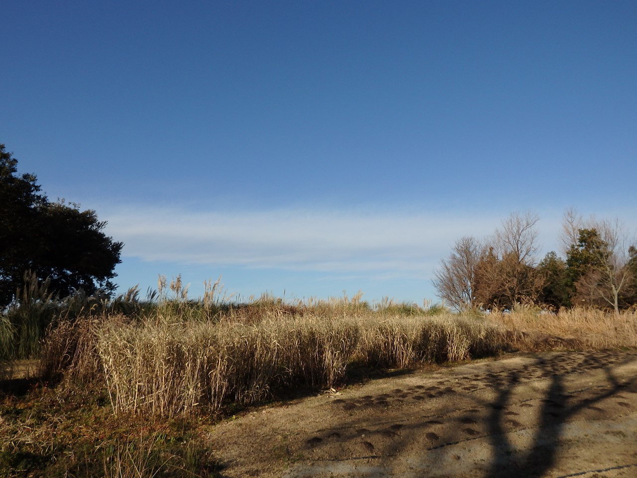 d0054276_20425058.jpg
