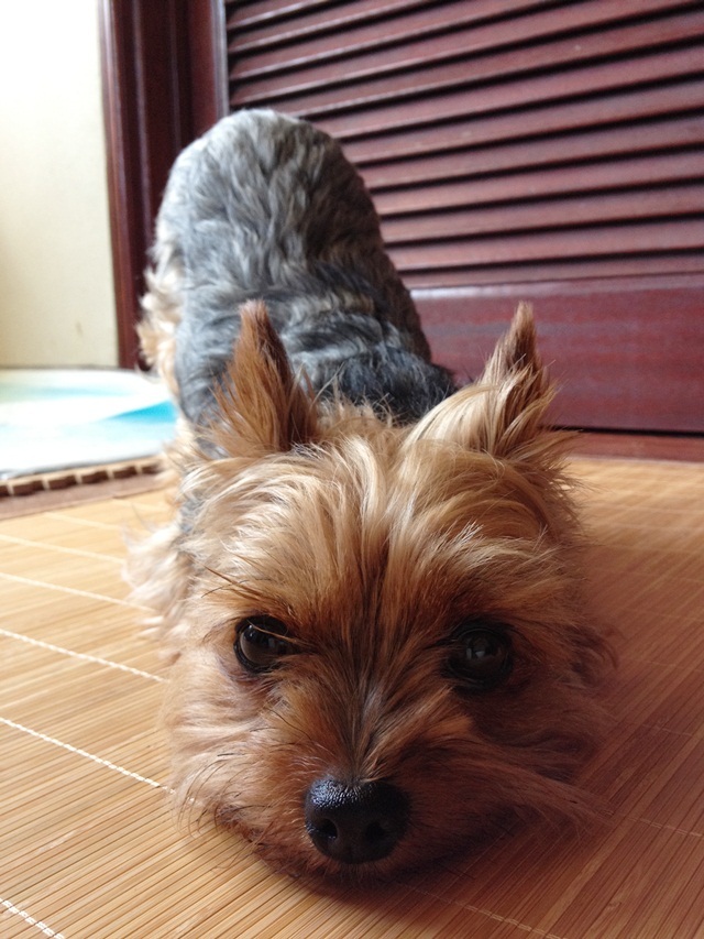 c0283778_10360530.jpeg