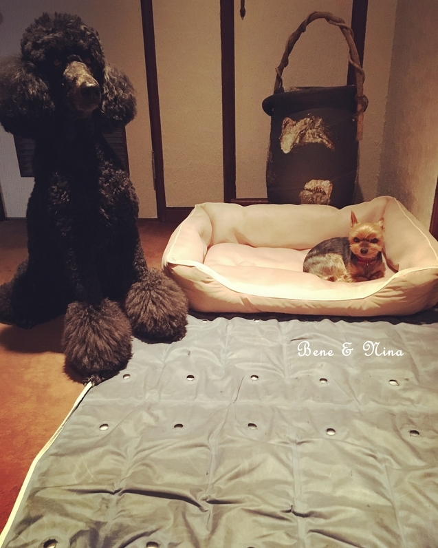 c0283778_10463085.jpeg