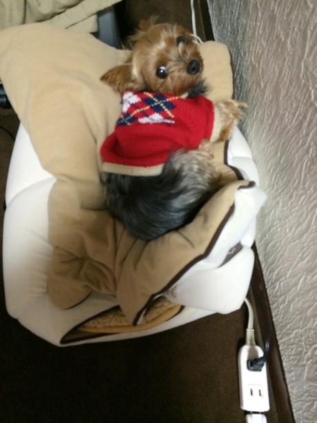 c0283778_10500746.jpeg