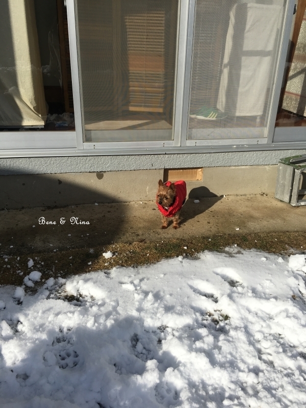 c0283778_11162484.jpeg