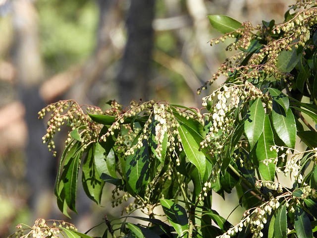 f0378979_19160874.jpg