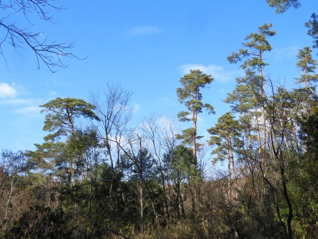 f0378979_19225881.jpg