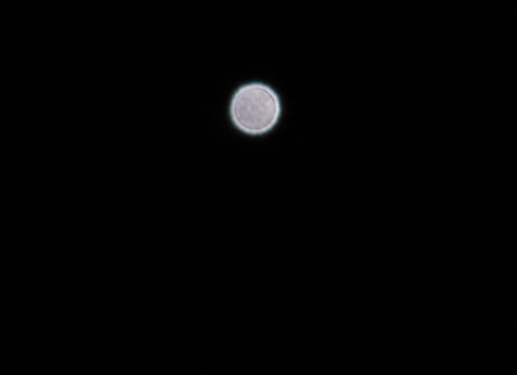 d0020180_09281932.jpg