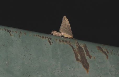 d0020180_09405688.jpg