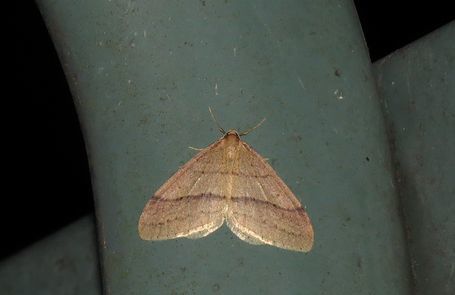 d0020180_09430175.jpg