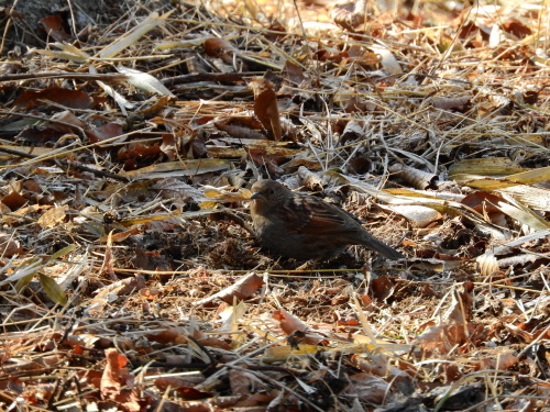 f0348480_14410635.jpg