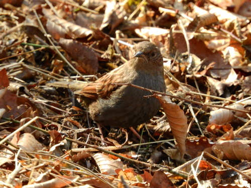 f0348480_14421696.jpg