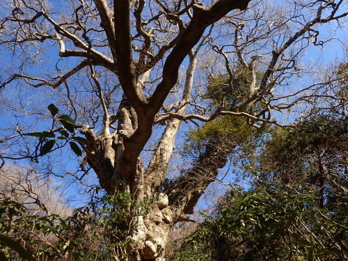 f0348480_14540815.jpg