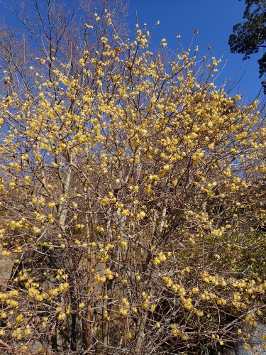 f0348480_15014278.jpg