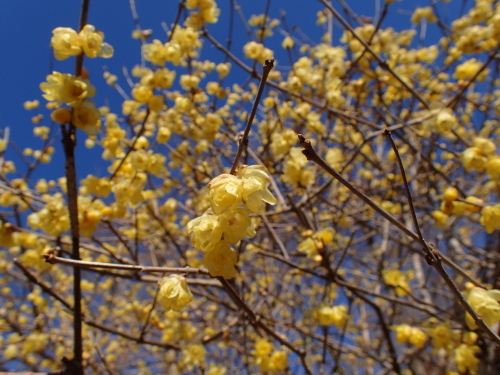 f0348480_15022609.jpg