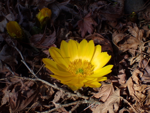 f0348480_15033018.jpg