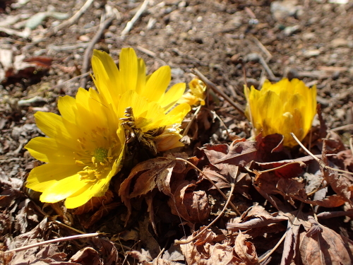 f0348480_15040480.jpg