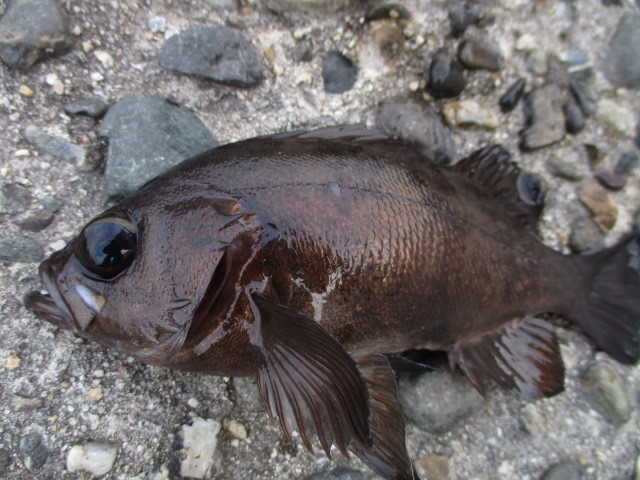 f0234981_09034117.jpg