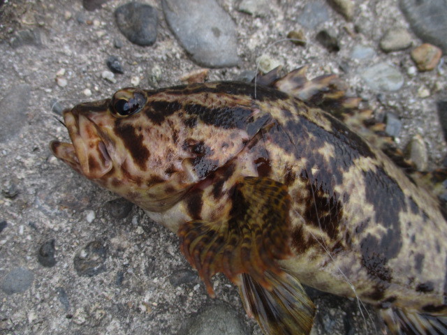 f0234981_09070152.jpg