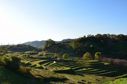 c0229483_20424556.jpg